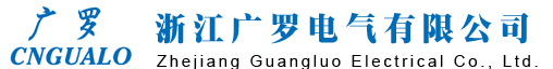 電能表-浙江廣羅電氣有限公司